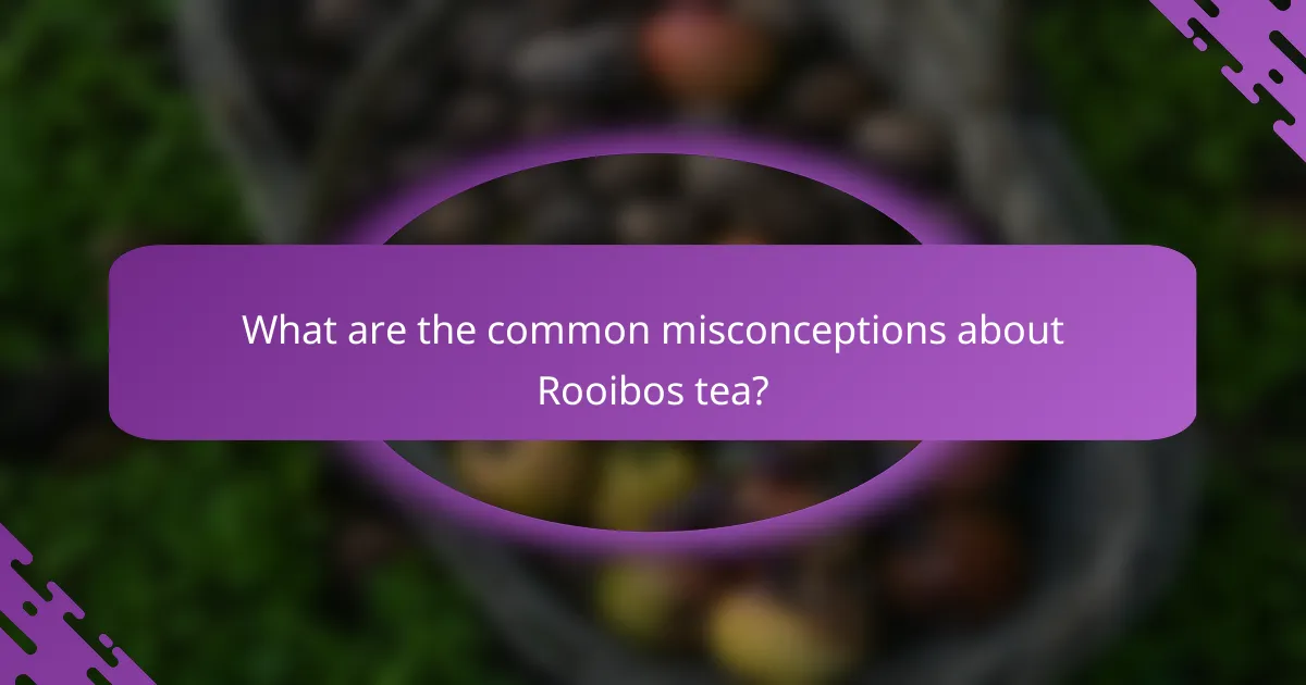 What are the common misconceptions about Rooibos tea?