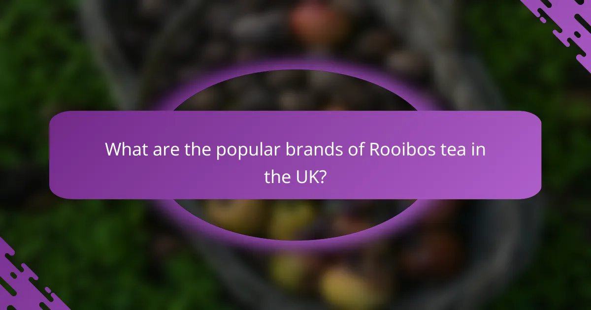 What are the popular brands of Rooibos tea in the UK?