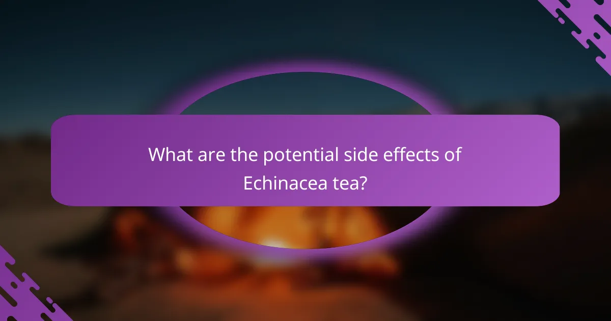 What are the potential side effects of Echinacea tea?