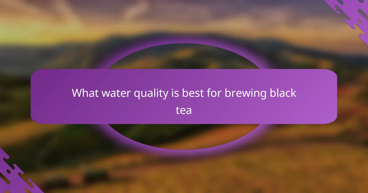 What water quality is best for brewing black tea