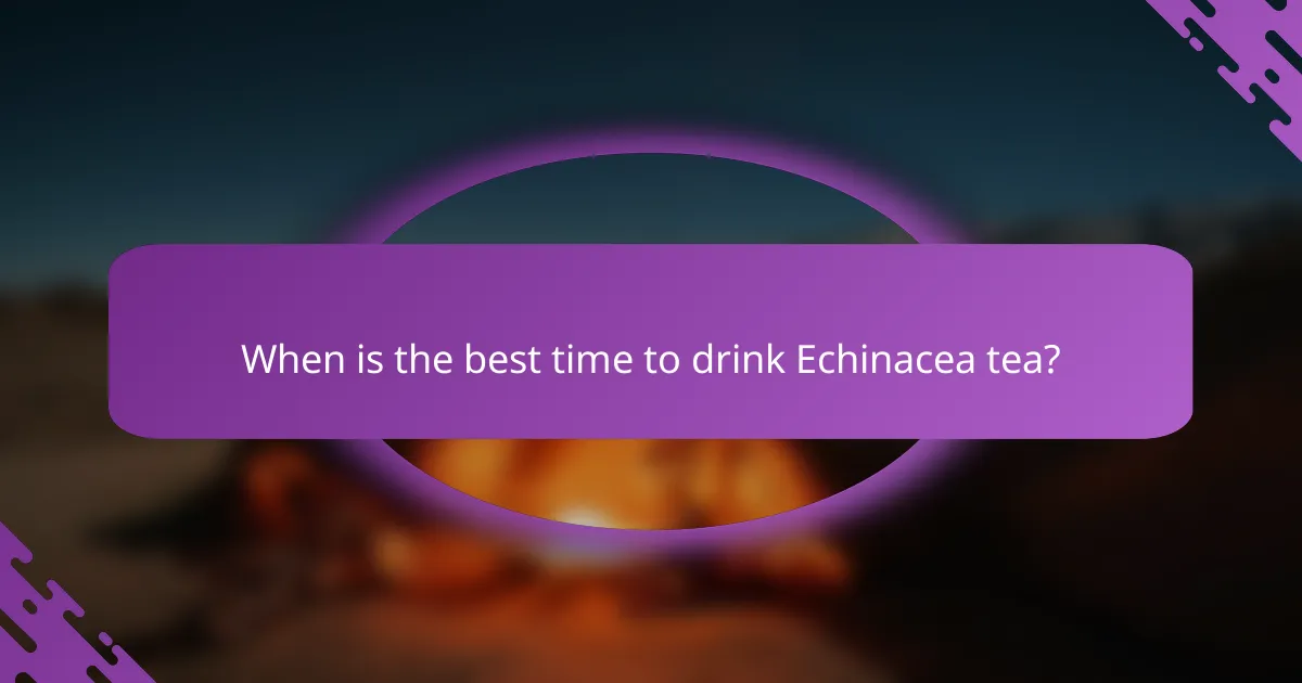 When is the best time to drink Echinacea tea?